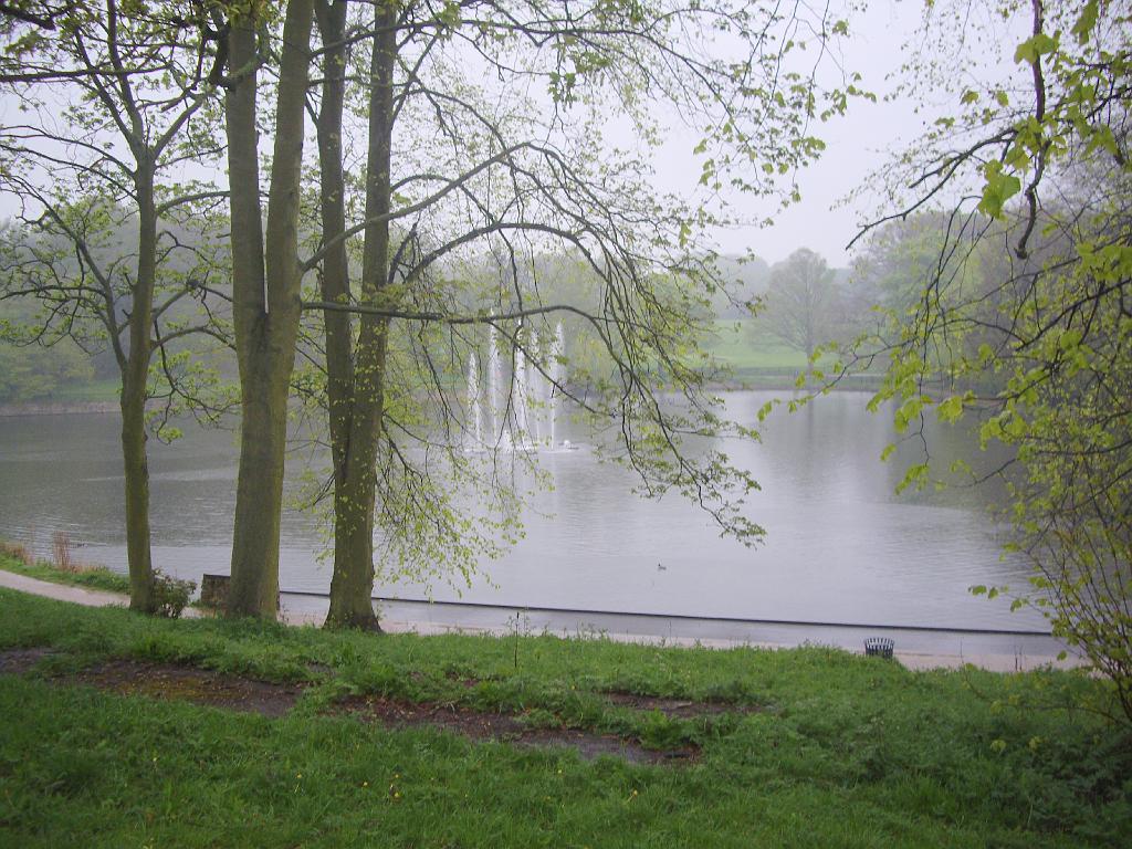 IMGP0276.JPG