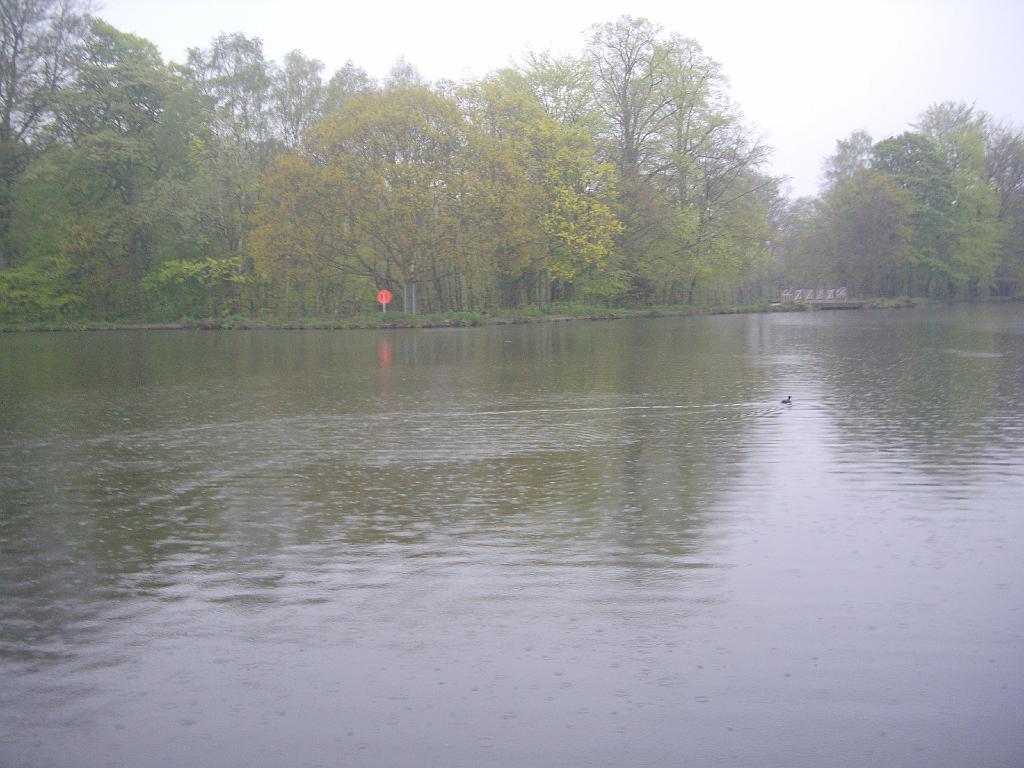 IMGP0279.JPG